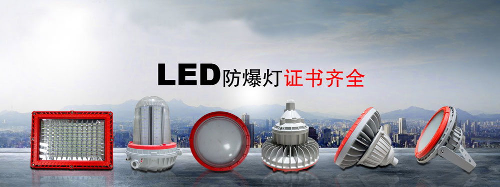 郑氏新黎明电气股份有限公司