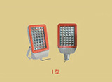 BZD188-03系列防爆免维护LED泛光灯(IIC)